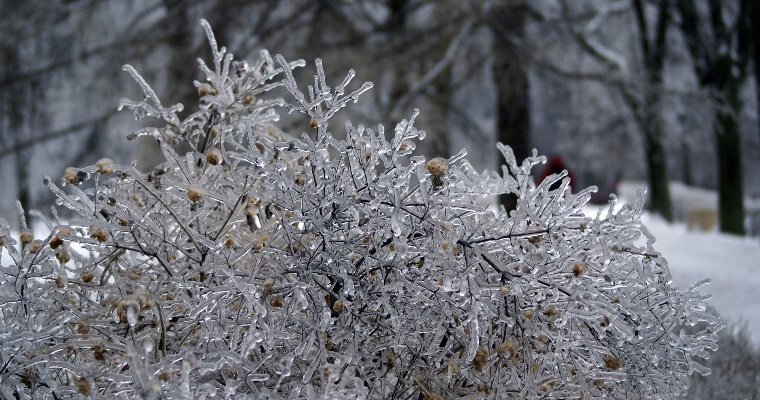 Ледяной дождь ожидается в Удмуртии 8 декабря