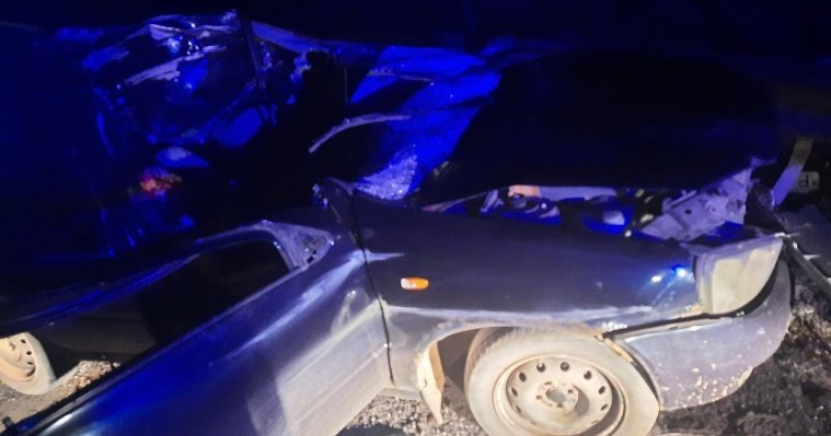 В Удмуртии в результате ДТП с лосем погибла пассажирка автомобиля
