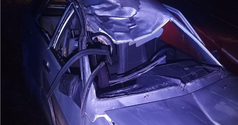 Пассажир ВАЗа погиб в аварии с лосем в Удмуртии