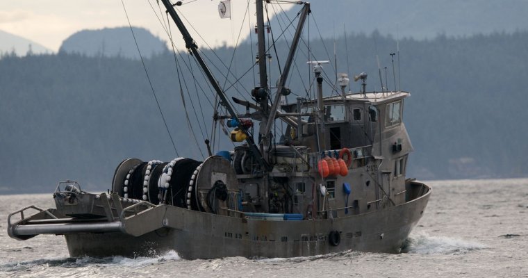 В Крыму задержали украинских рыбаков, нарушивших границу