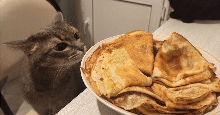 Диетолог раскрыл секрет полезных блинов к Масленице