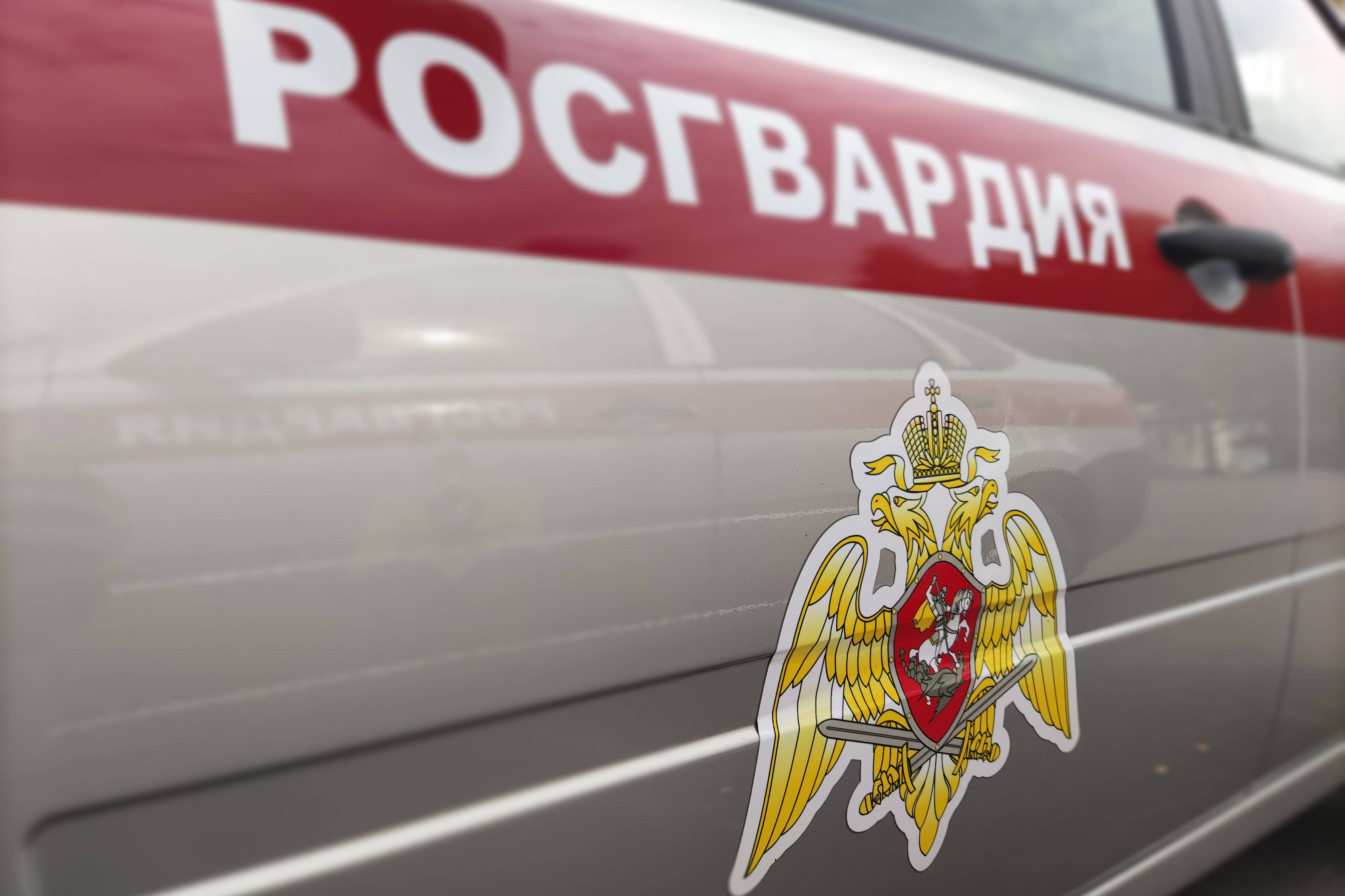 В Ижевске задержали мужчину, подозреваемого в ограблении магазина оптики