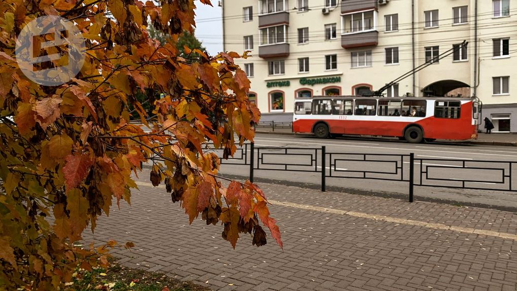 Ижевск стал пятым в рейтинге российских городов по качеству общественного транспорта