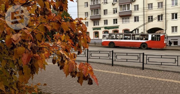 Ижевск стал пятым в рейтинге российских городов по качеству общественного транспорта