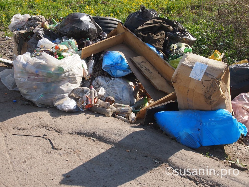 Работу полигона для сбора мусора запретили под Глазовом