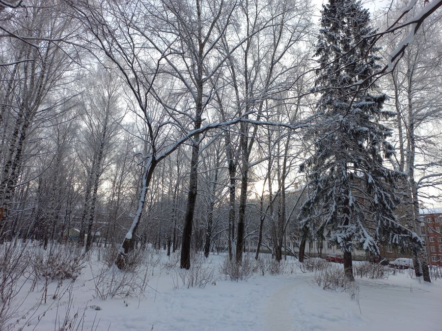 5 ноября в Удмуртии ожидается снег с дождём