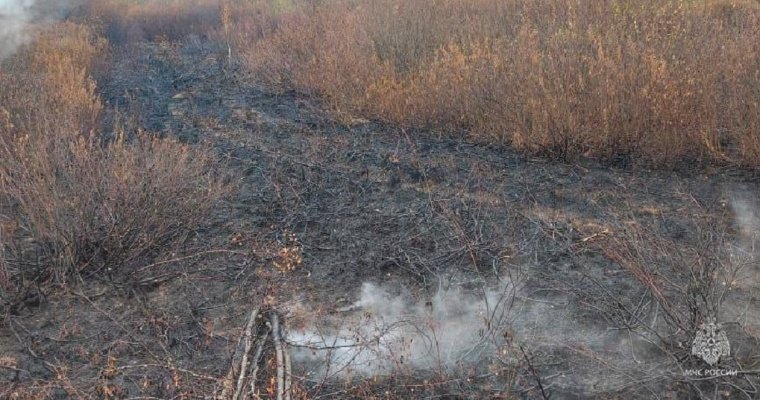 В Камбарском районе Удмуртии потушили загоревшийся торфяник 