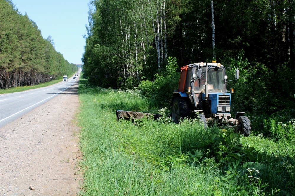 Вдоль трасс в Удмуртии начали косить борщевик