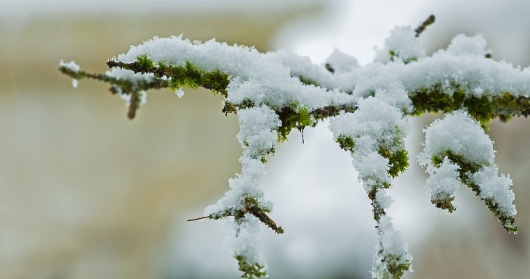 Первый снег выпадет в Удмуртии в выходные