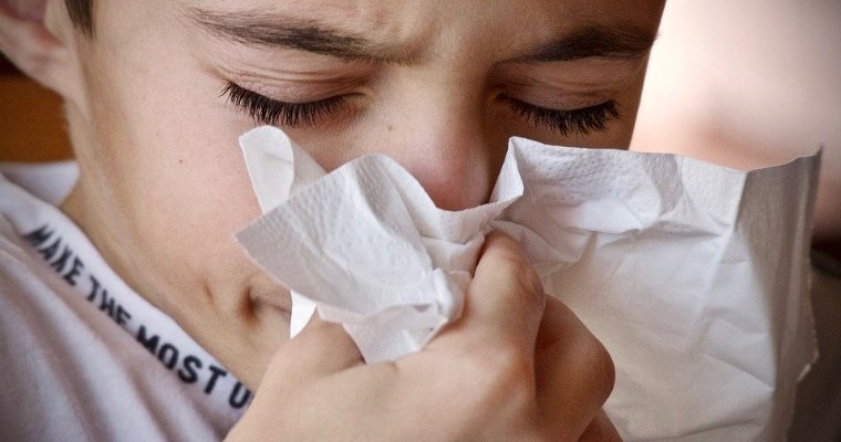В Удмуртии ожидается небольшой рост по заболеваемости гриппом и ОРВИ