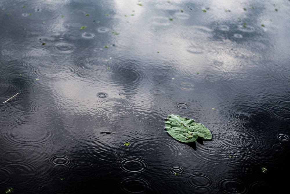 Продолжительные дожди пройдут в Удмуртии в понедельник