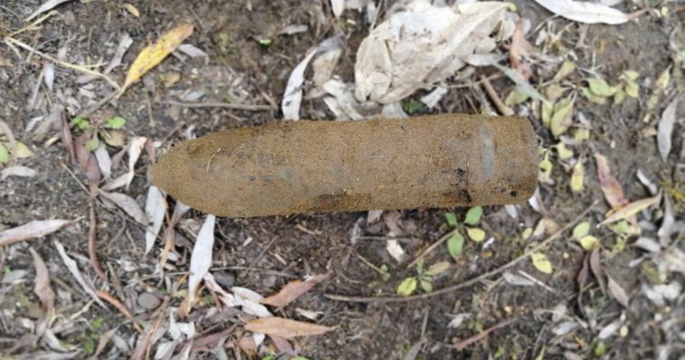 Более 20 артиллерийских снарядов обезвредили сотрудники Росгвардии в Удмуртии