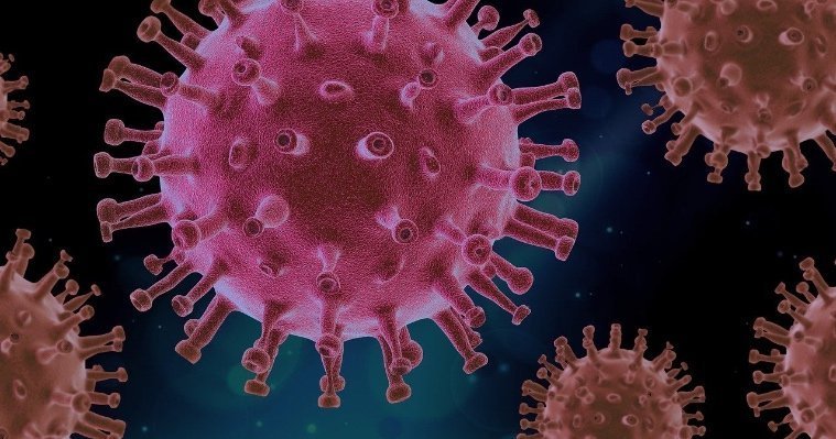За последние сутки в Удмуртии выявили 85 новых случаев заражения коронавирусом