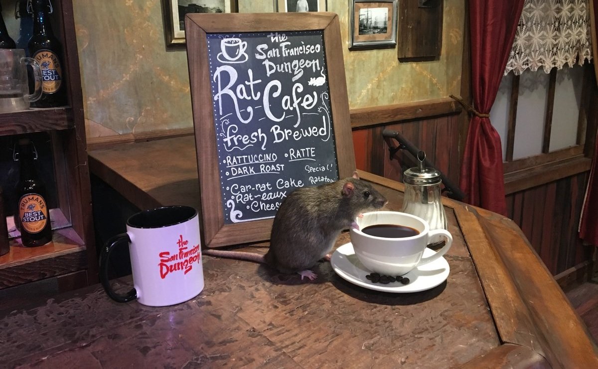 Нетрезвый «паркурщик» в Ижевске, запрет на белорусскую «молочку» и кофе с крысами: что произошло минувшей ночью