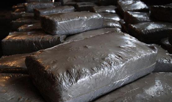 Удмуртия отправила с начала года в Казахстан 218 тонн шампиньонной грибницы