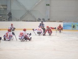 Четыре спортсмена из Удмуртии вошли в состав молодежной сборной России по следж-хоккею