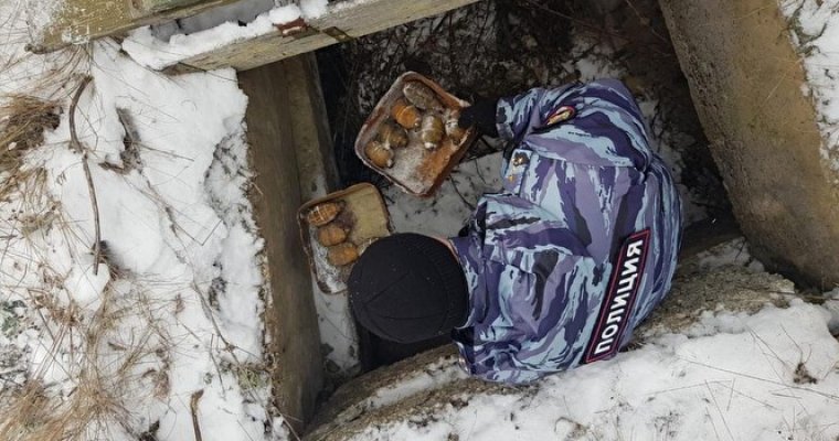В Свердловской области ФСБ обнаружила спрятанную в тайнике взрывчатку