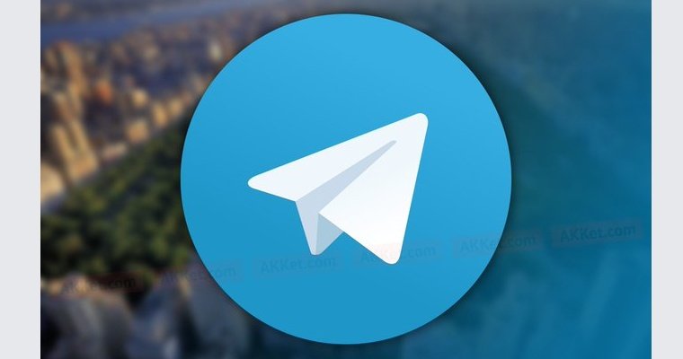 Депутаты Госдумы предложили разблокировать Telegram на время ЧС