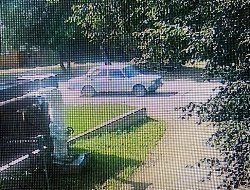 Полиция нашла водителя, скрывшегося с места ДТП в Можге