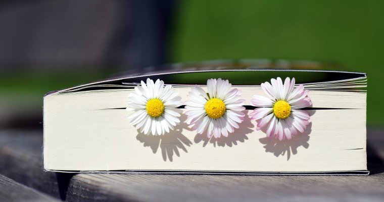 Билеты в кино и книгу разыграют в эфире LOVE RADIO в Ижевске