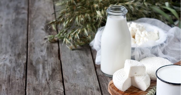 Рубеж в полмиллиона тонн молока перешагнули сельхозпредприятия Удмуртии 