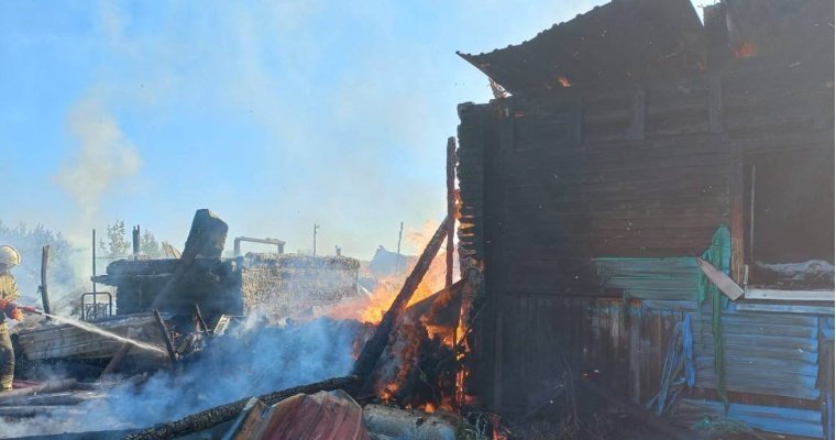 В Глазовском районе сгорело личное подворье вместе с 12 овцами