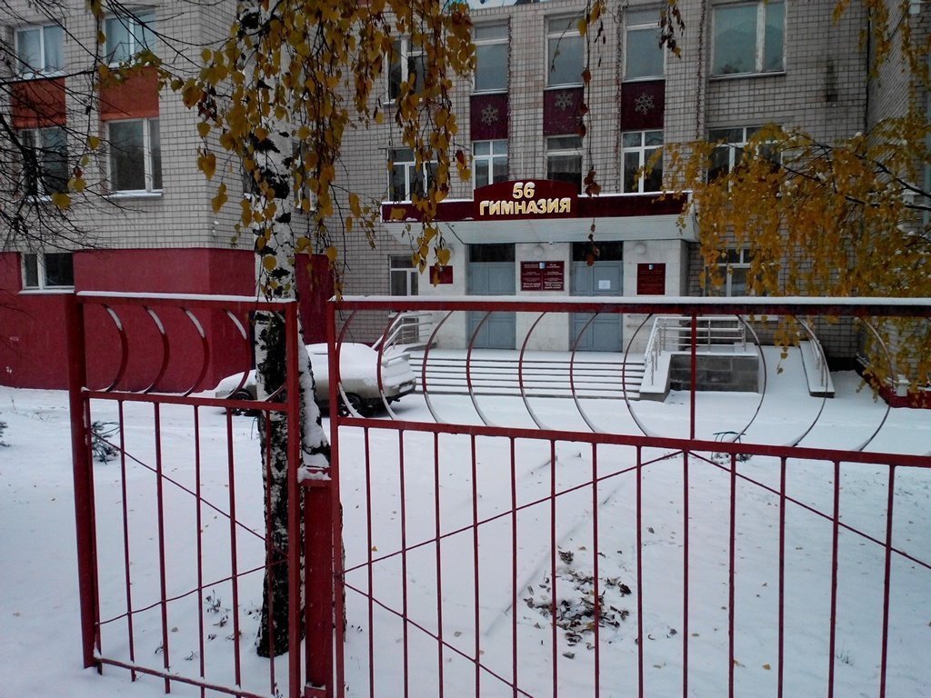 Ижевская гимназия 56 получила статус федеральной инновационной площадки