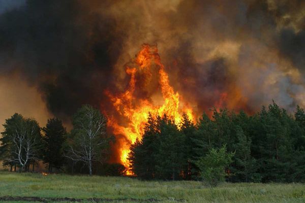 Режим ЧС ввели в Амурской области из-за пожаров