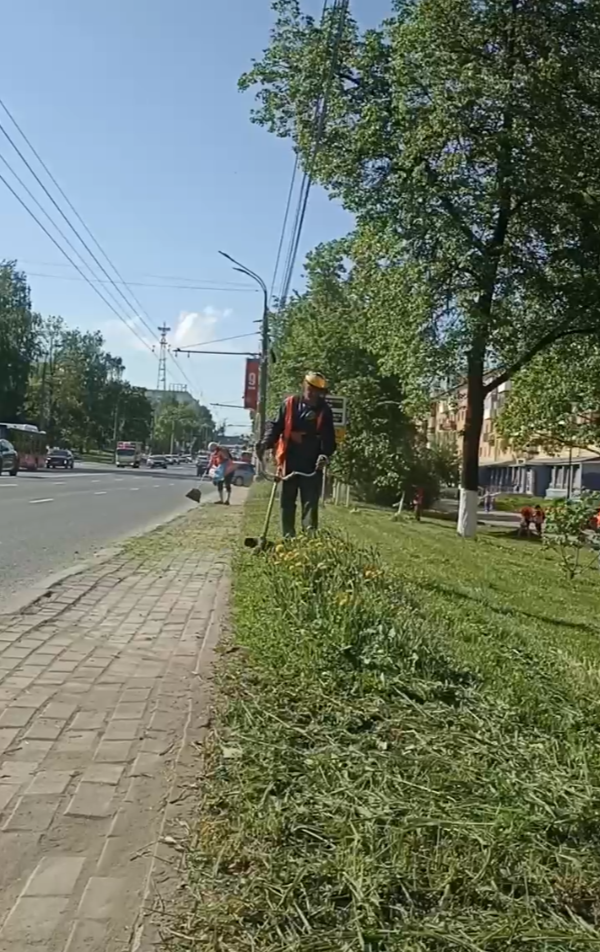 Вдоль дорог Ижевска начали косить газон 
