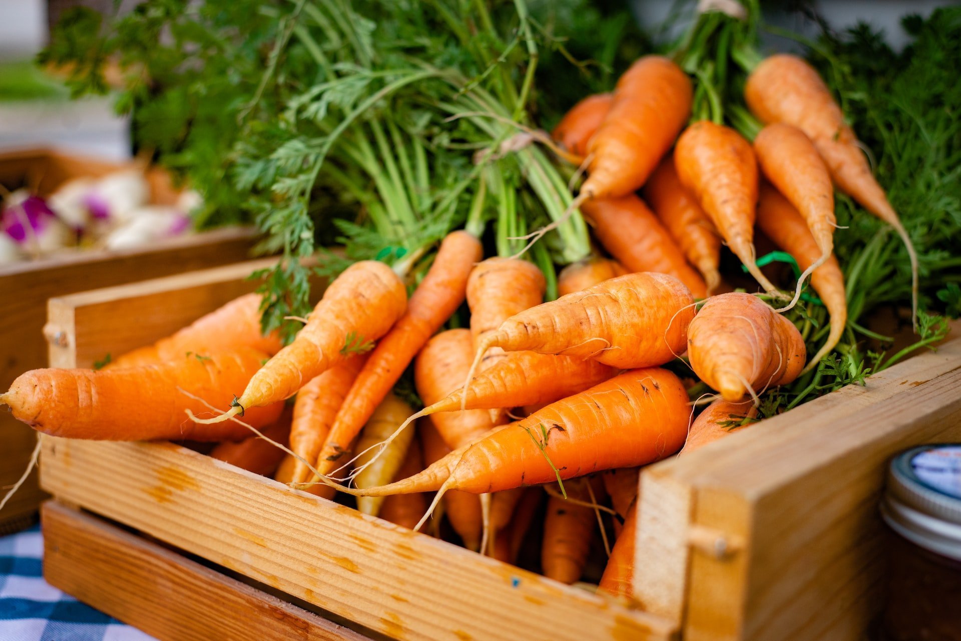 В Удмуртию ввезли 20 тонн моркови в обход Россельхознадзора