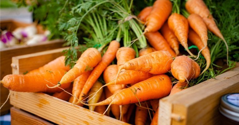 В Удмуртию ввезли 20 тонн моркови в обход Россельхознадзора