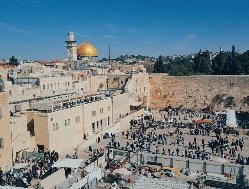 Специалисты помогут уроженцам Израиля вернуться на родную землю 