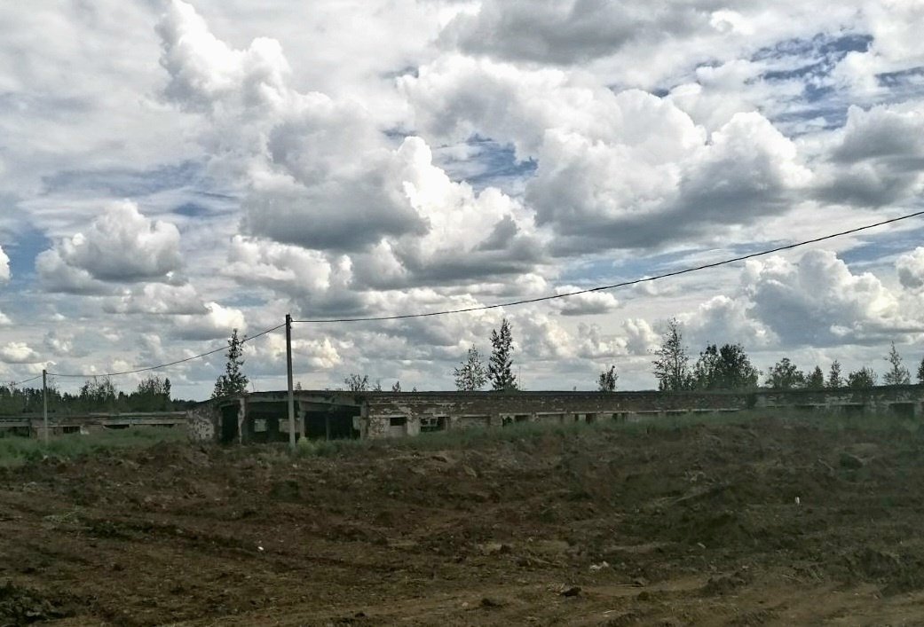 В одной из деревень Завьяловского района пропал коровник