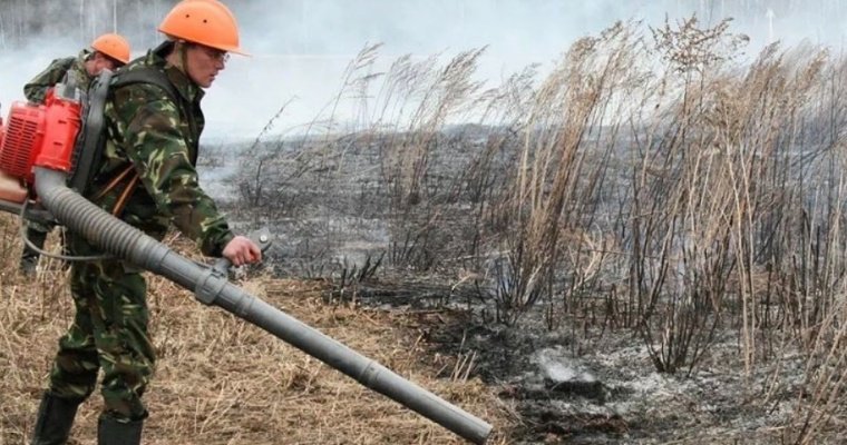 Противопожарный режим объявили власти Удмуртии    