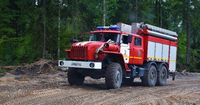 Мгла в Удмуртии может быть связана с лесными пожарами в Мордовии