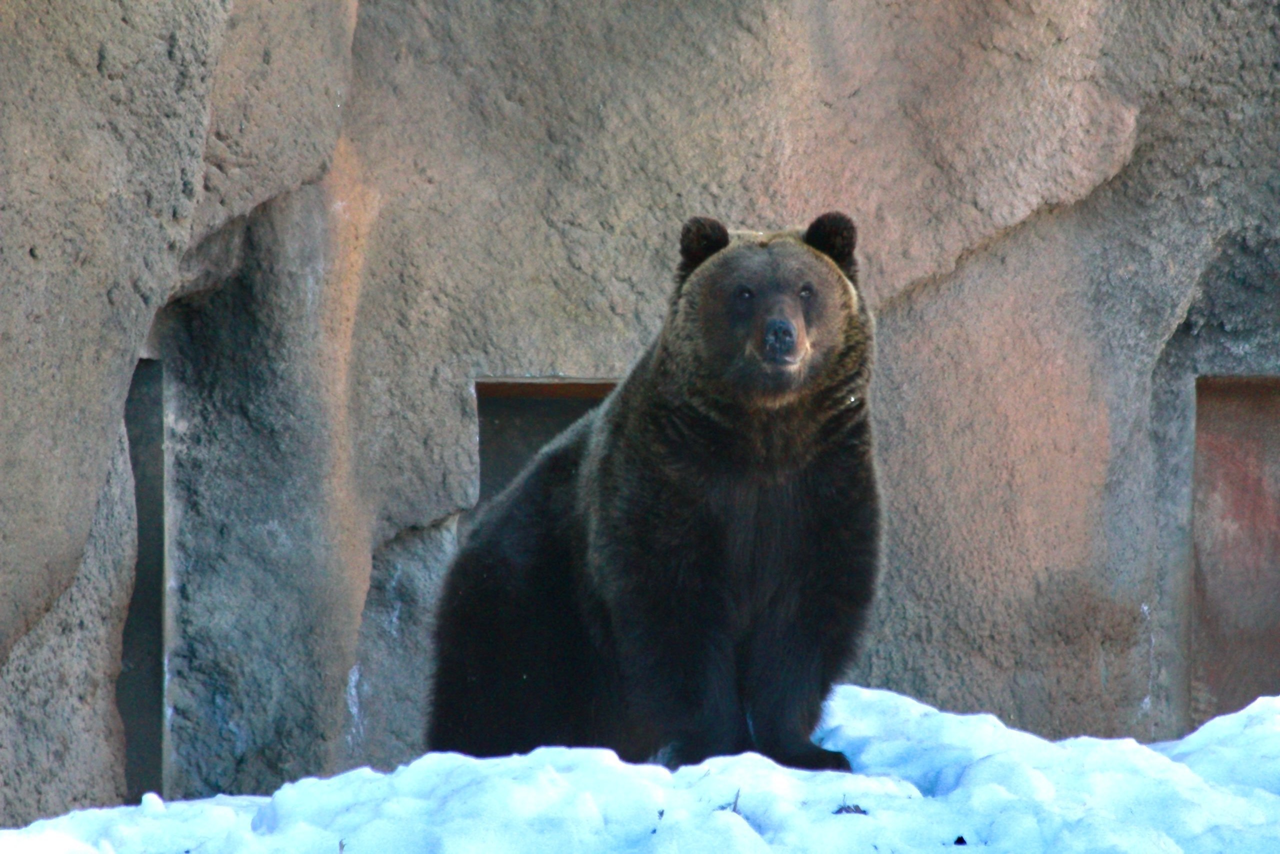 Главный синоптик зоопарка Удмуртии вышел из спячки