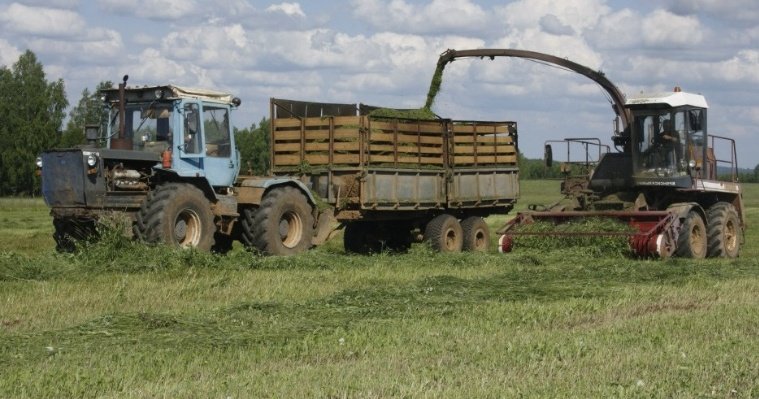 Цифровой агропром: «Ростелеком» обеспечил связью сельскохозяйственное предприятие в Удмуртии
