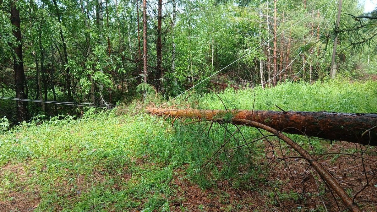 Энергетики восстанавливают электроснабжение потребителей в Вавожском районе после урагана