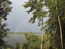 До +21 градуса прогреется воздух в Удмуртии 20 июня