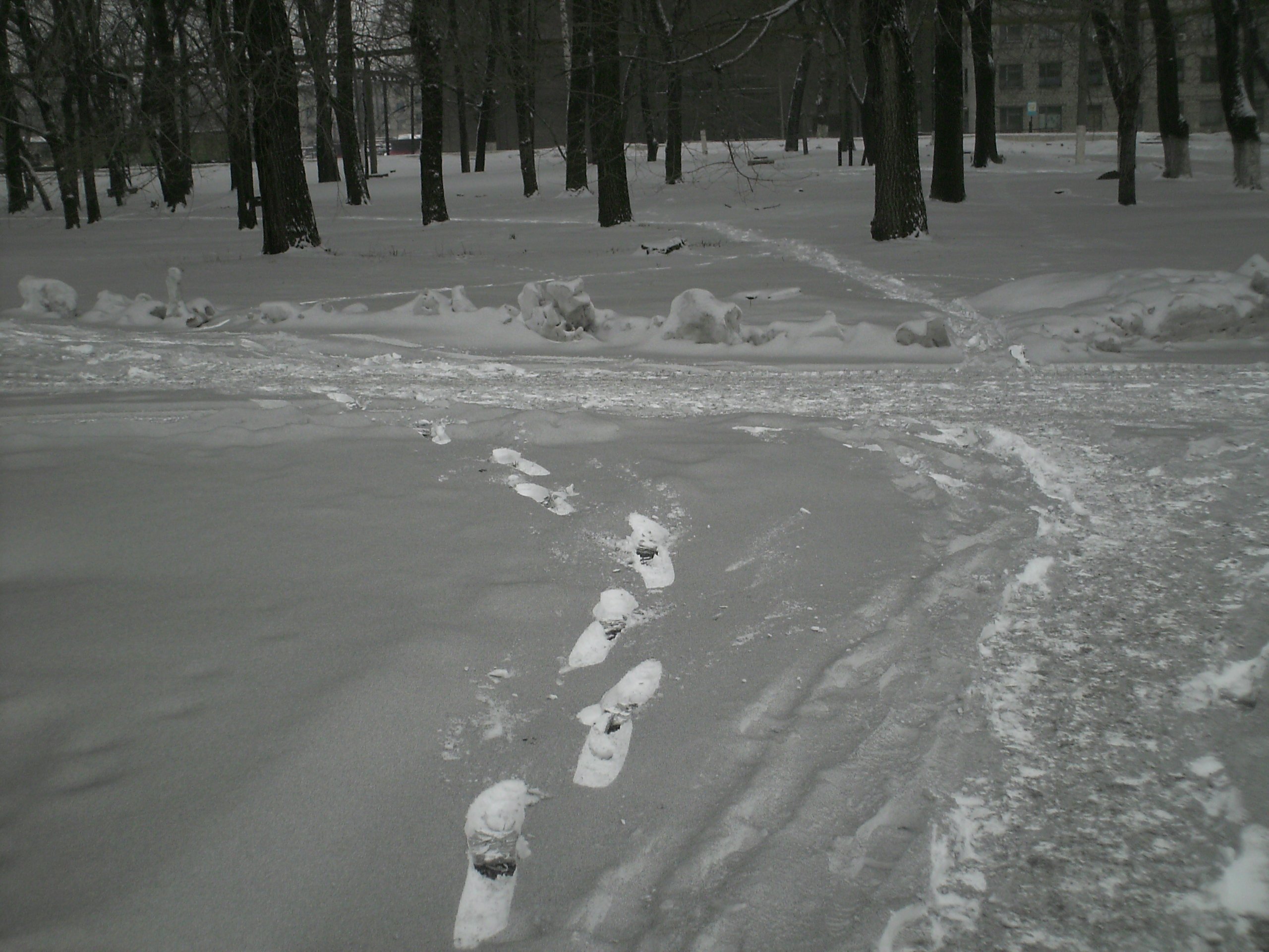 Росприроднадзор объяснил выпадение черного снега в Ивановской области