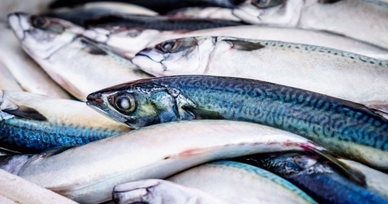 Жители Увинского района пожаловались на гибель рыбы в реке Ува 