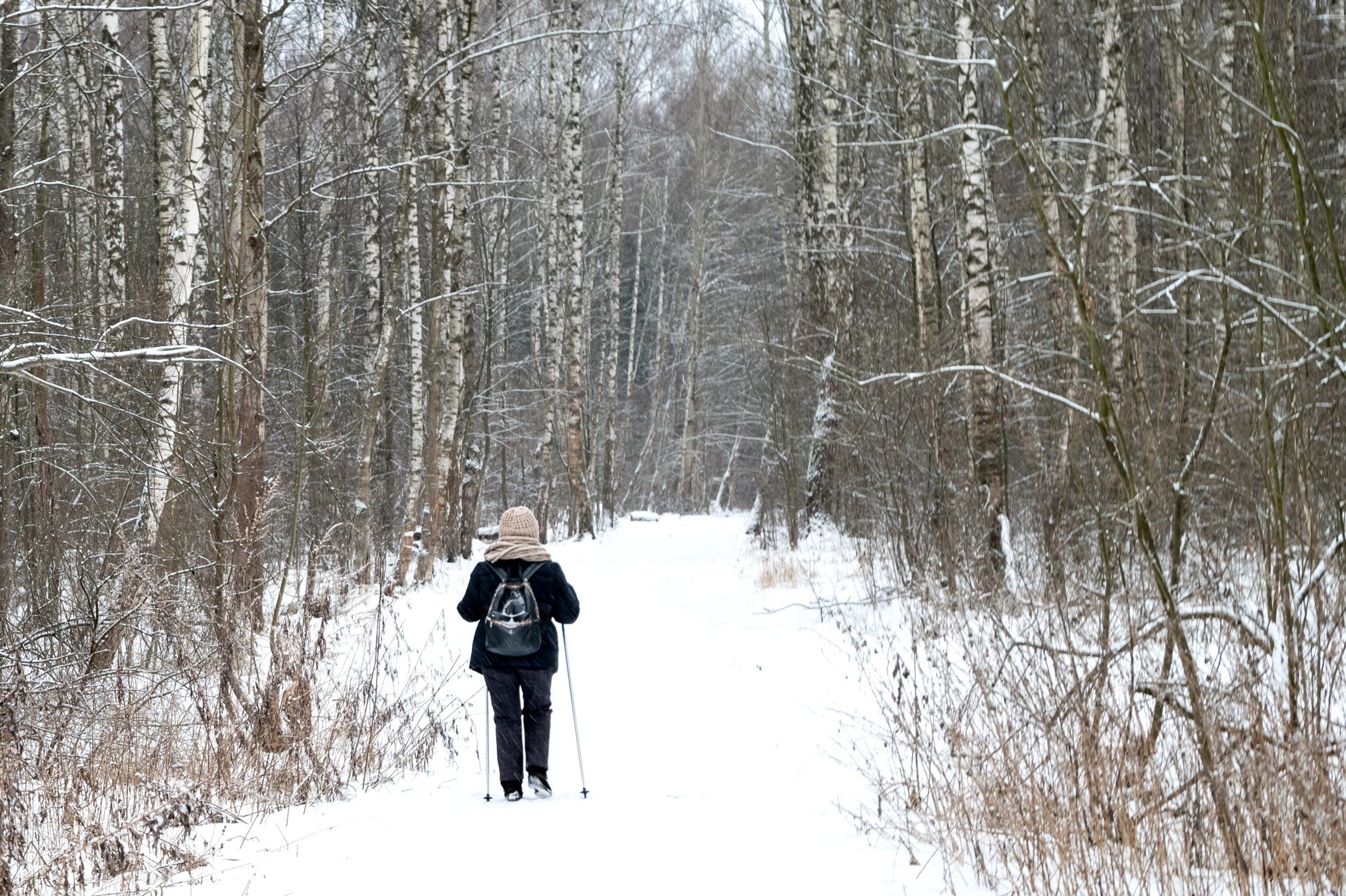 

Две пожилые любительницы скандинавской ходьбы заблудились в лесу в Ижевске

