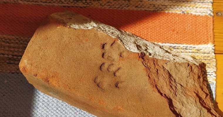 В Сарапуле нашли старинный кирпич со следами лап дореволюционной кошки