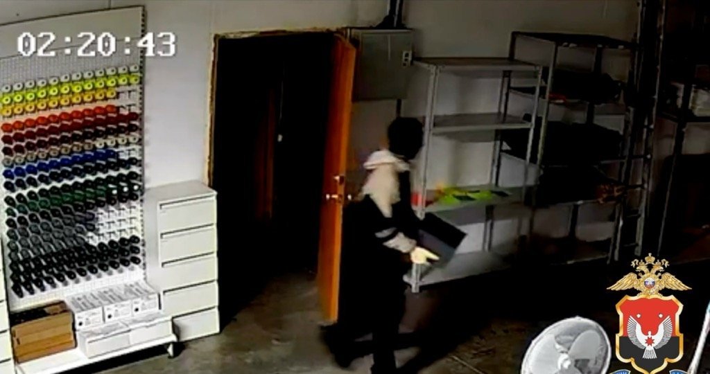 Двух братьев-расхитителей сейфа задержали в Удмуртии