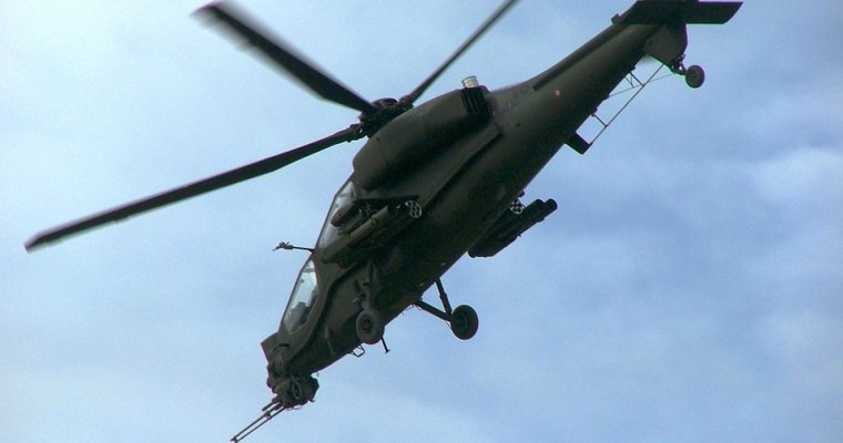 С вертолетами и собаками ищут россиянина, подозреваемого в убийстве в Австралии