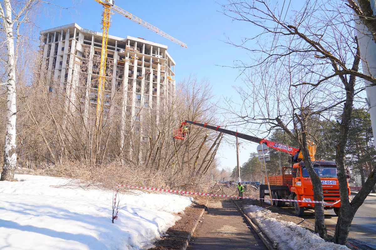 В Ижевске начали весеннюю обрезку деревьев