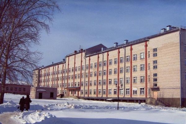 Признавшие вину в смерти ребенка малопургинские врачи попали под амнистию