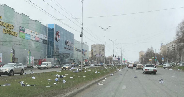 Поисками разбросавших мусор на улице 10 лет Октября в Ижевске займется муниципальная милиция