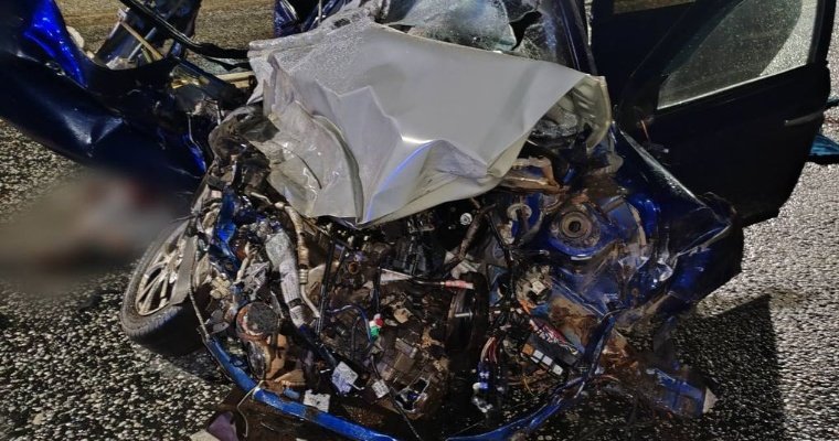В Дебёсском районе два человека погибли в ДТП 