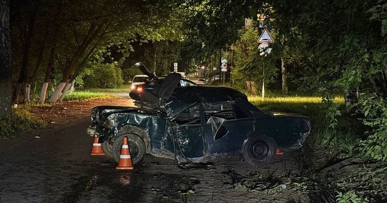 На улице Самсонова в Ижевске «бесправник» въехал в дерево